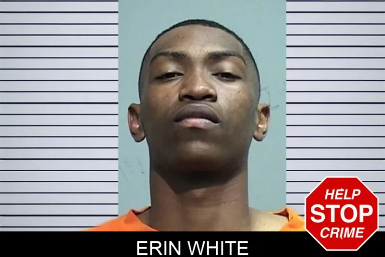 Erin White mugshot – Effingham County , Georgia Erin White