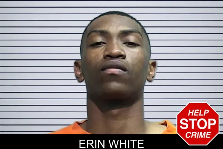Erin White mugshot – Effingham County , Georgia Erin White