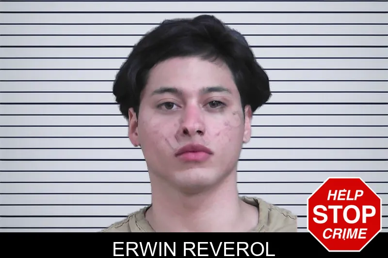 Erwin Reverol mugshot