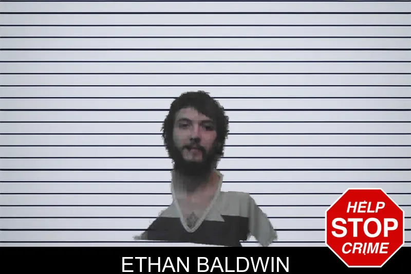 Ethan Baldwin mugshot – Meriwether County , Georgia Ethan Baldwin mugshot