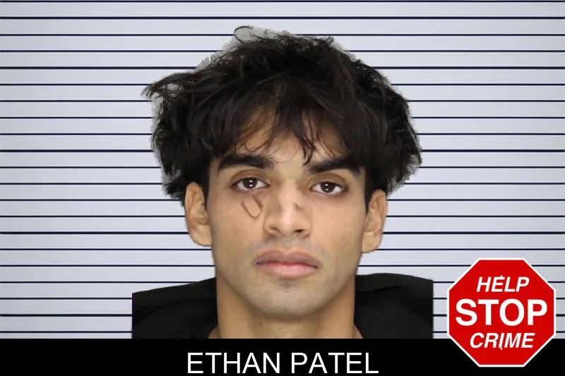 Ethan Patel mugshot