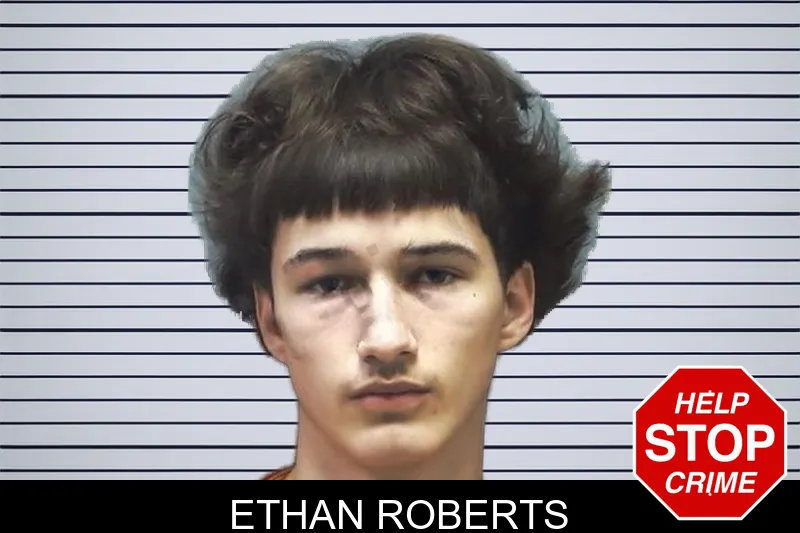 Ethan Roberts mugshot – Cherokee County , Georgia Ethan Roberts mugshot