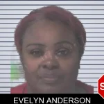 Evelyn Anderson mugshot – Newton County , Georgia Evelyn Anderson mugshot