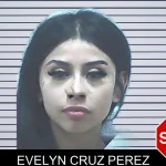 Evelyn Cruz Perez mugshot