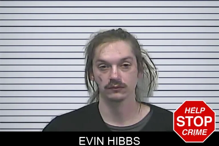 Evin Hibbs