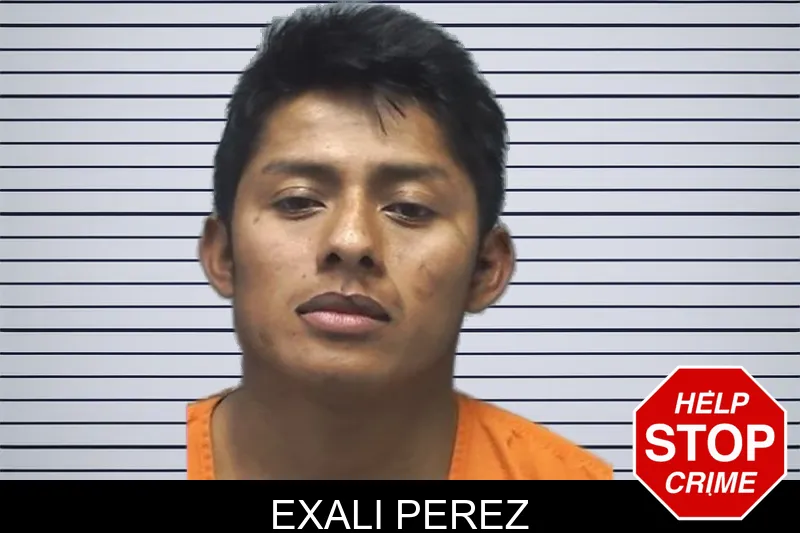Exali Perez mugshot