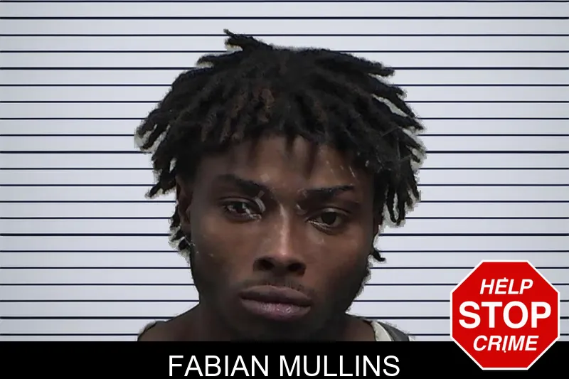 Fabian Mullins mugshot