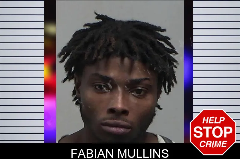 Fabian Mullins mugshot