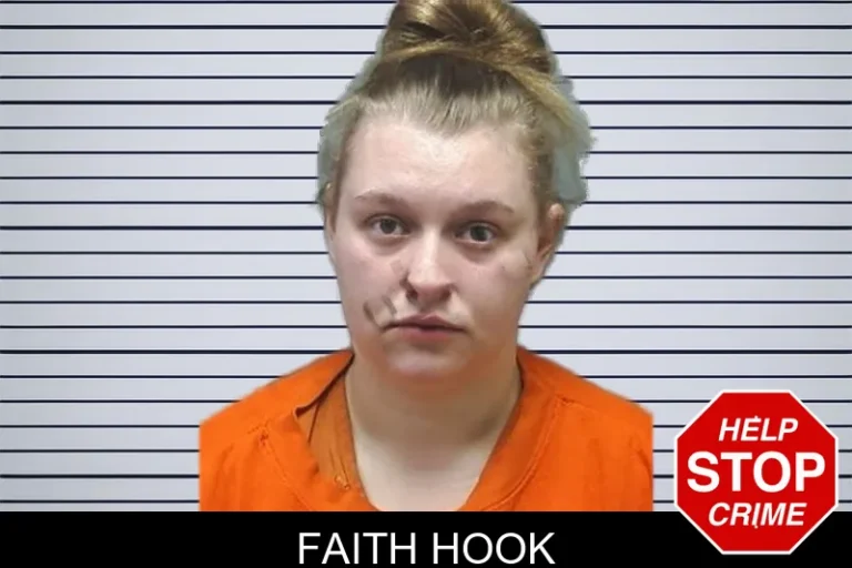 Faith Hook