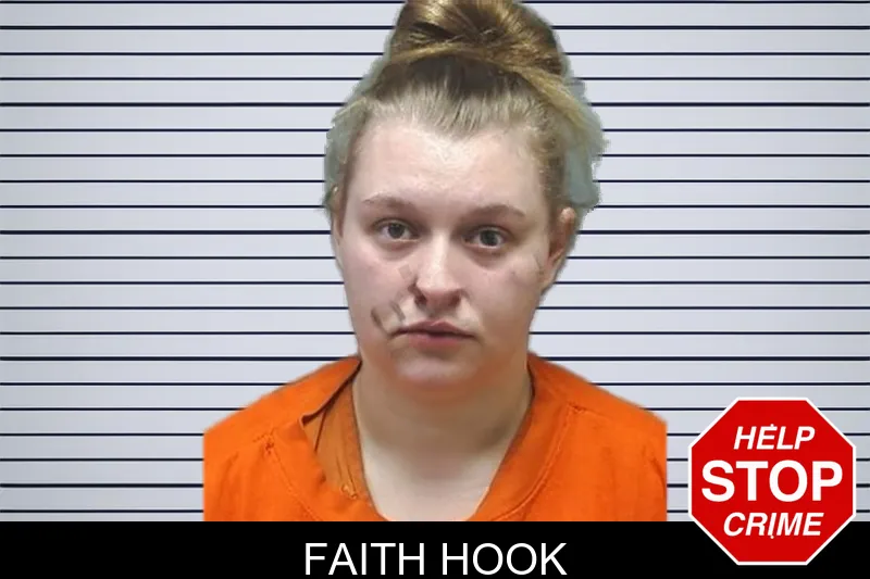 Faith Hook mugshot