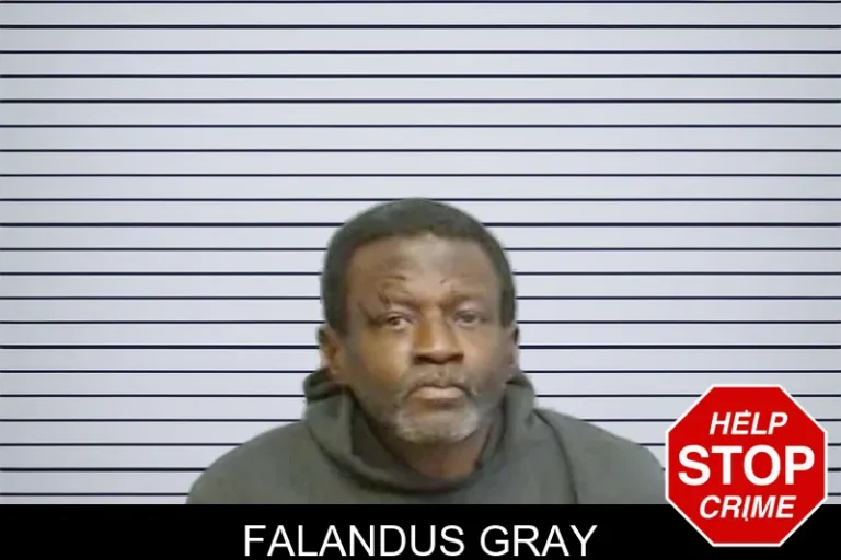 Falandus Gray