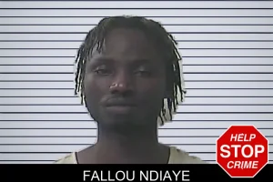 Fallou Ndiaye mugshot