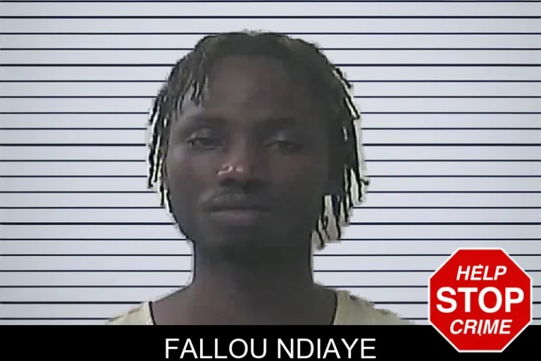 Fallou Ndiaye