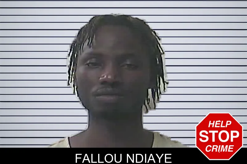 Fallou Ndiaye mugshot