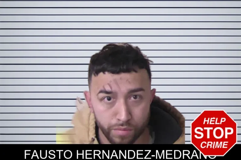 Fausto Hernandez-Medrano