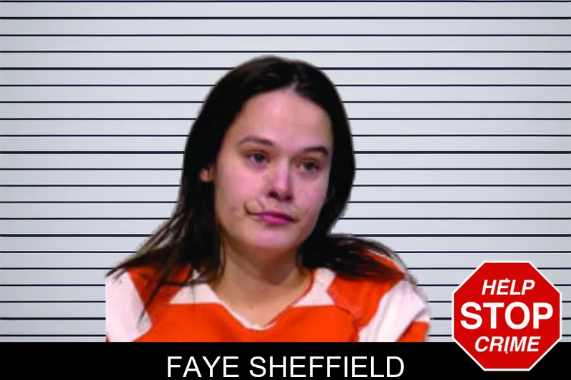 Faye Sheffield mugshot – Bartow County , Georgia Faye Sheffield mugshot