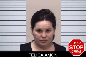 Felica Amon mugshot
