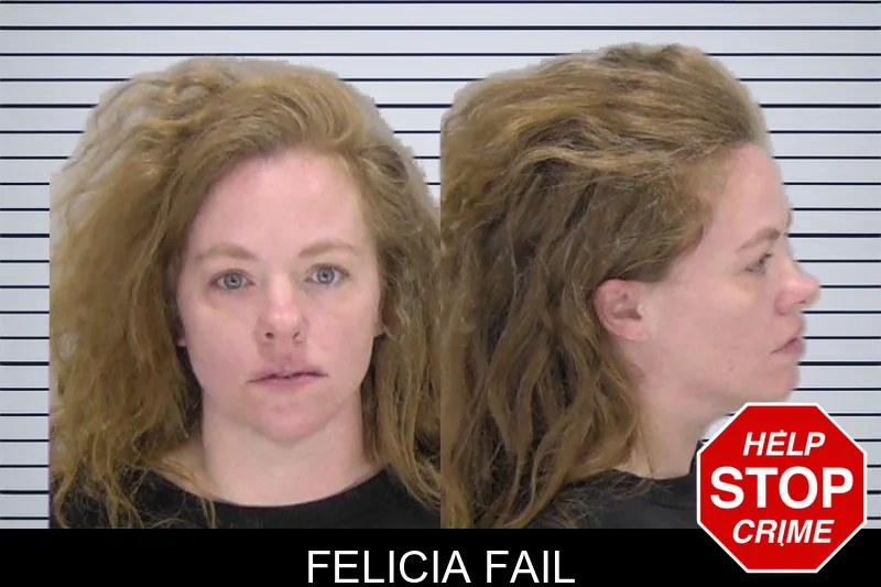 Felicia Fail mugshot