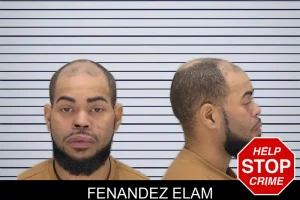 Fenandez Elam mugshot