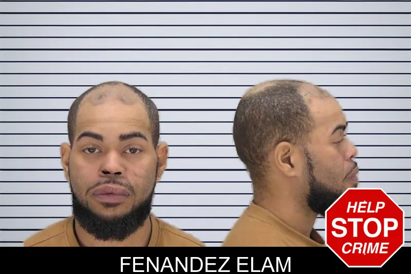 Fenandez Elam mugshot