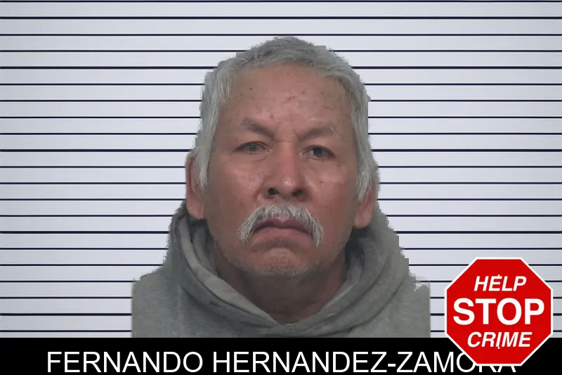 Fernando Hernandez-Zamora mugshot