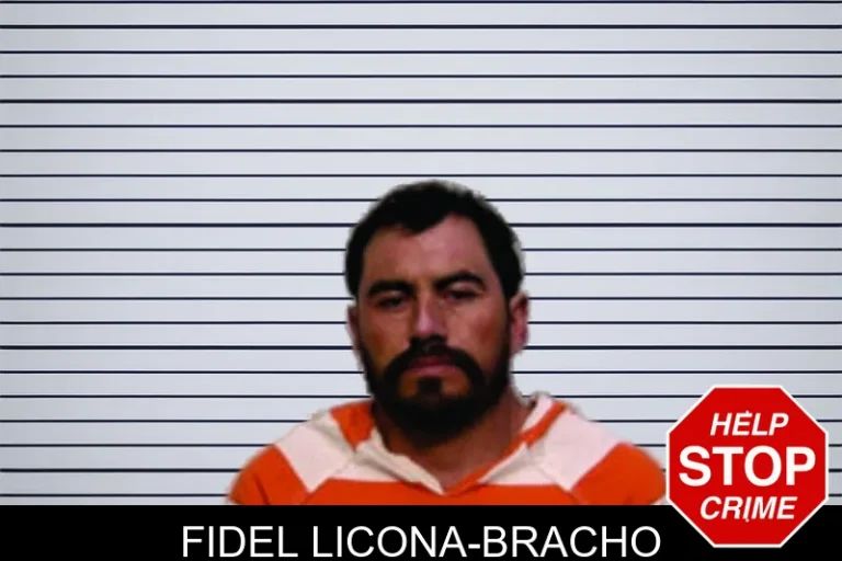 Fidel Licona-Bracho