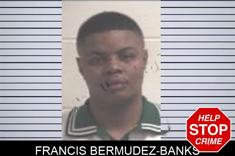 Francis Bermudez-Banks mugshot