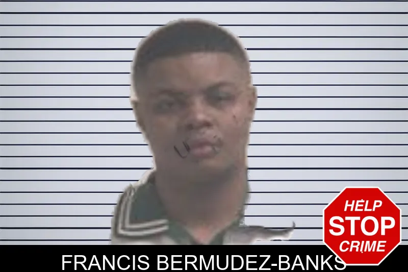 Francis Bermudez-Banks mugshot