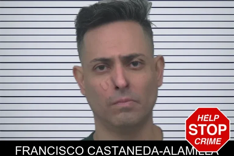 Francisco Castaneda-Alamilla