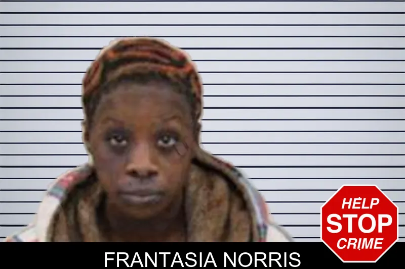 Frantasia Norris mugshot