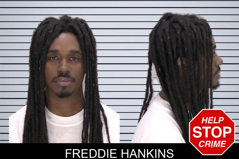 Freddie Hankins mugshot