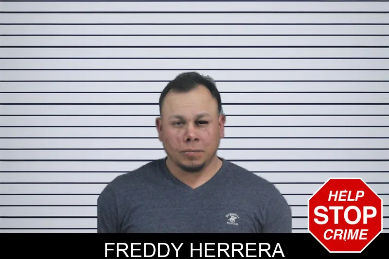 Freddy Herrera mugshot