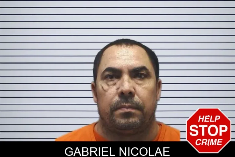 Gabriel Nicolae mugshot – Cherokee County , Georgia Gabriel Nicolae