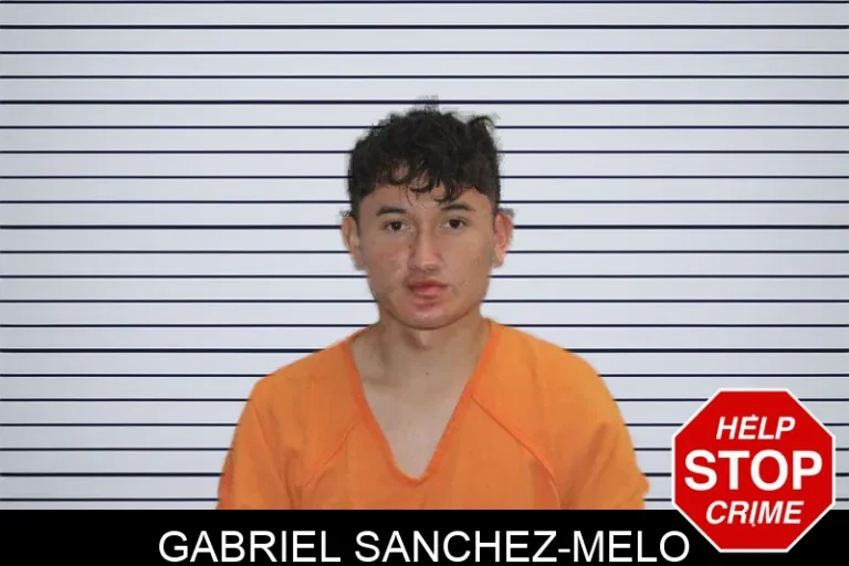 Gabriel Sanchez-Melo