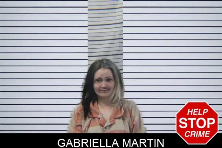 Gabriella Martin mugshot – Stephens County , Georgia Gabriella Martin