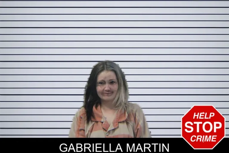 Gabriella Martin mugshot – Stephens County , Georgia Gabriella Martin
