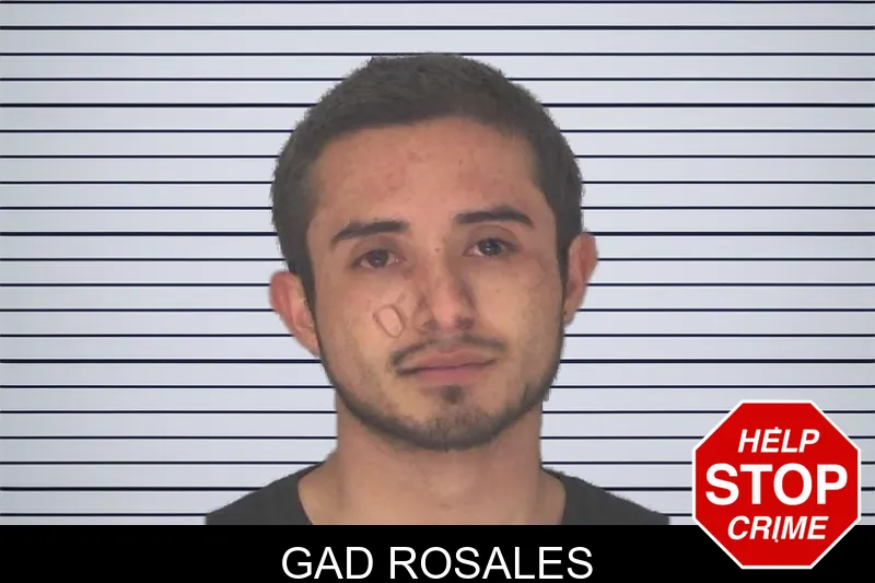 Gad Rosales mugshot