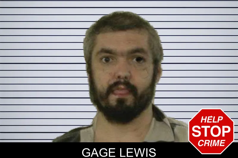 Gage Lewis mugshot