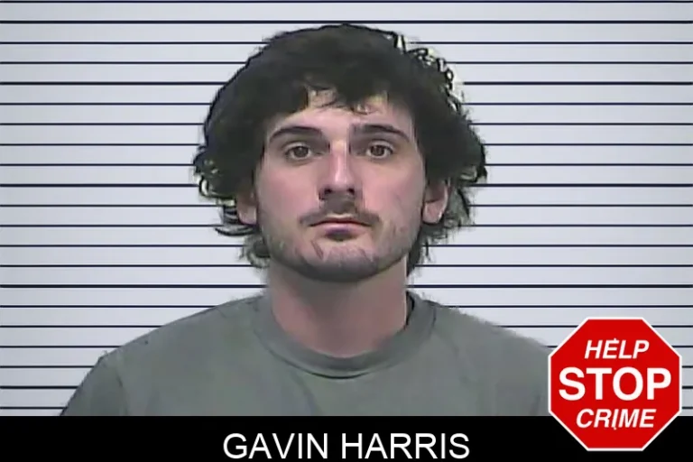 Gavin Harris