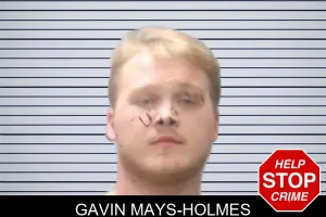 Gavin Mays-Holmes mugshot