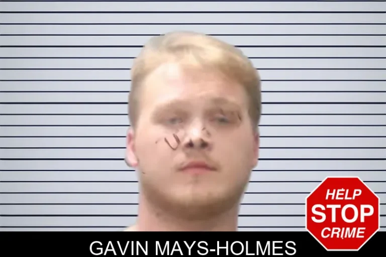 Gavin Mays-Holmes