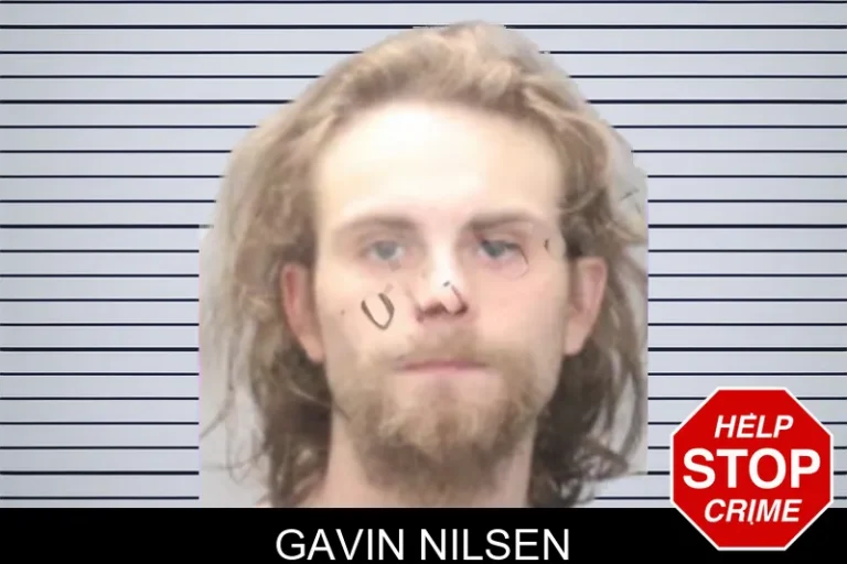 Gavin Nilsen
