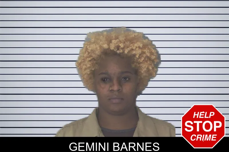 Gemini Barnes mugshot