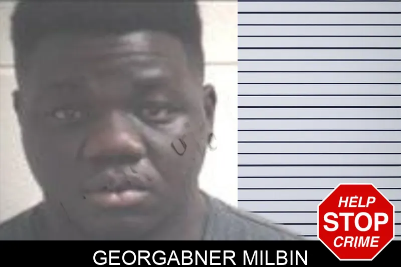 Georgabner Milbin mugshot