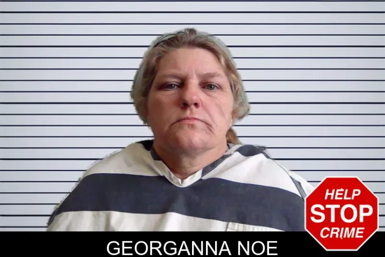 Georganna Noe mugshot – Evans County , Georgia Georganna Noe