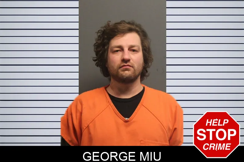 George Miu mugshot – Lumpkin County , Georgia George Miu mugshot