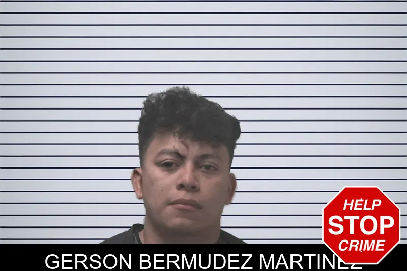 Gerson Bermudez Martinez mugshot