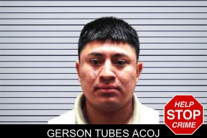 Gerson Tubes Acoj mugshot