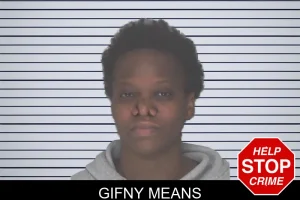 Gifny Means mugshot