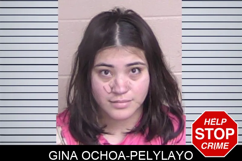 Gina Ochoa-Pelylayo mugshot